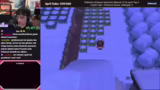 Pokémon Projekte und Soul Link