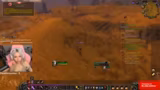 Raid und WoW-Addons
