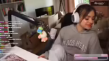 Gaming, Twitch und Katzenhaare