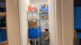 IRL
