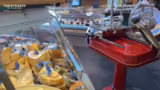 Ankunft in der Kleinmarkthall…