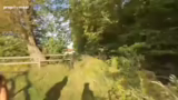 Kinobesuch und Rave im Wald