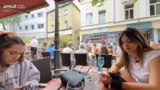 Botox-Behandlung, Europa-Park…