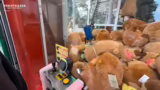 Interaktionen mit Zuschauern…