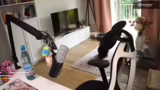 Streamstart und Begrüßung der…