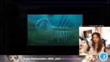 Diskussion über bizarre Tierb…