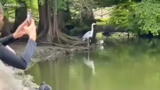 IRL