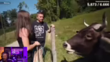 Erlebnisse auf dem Land und N…