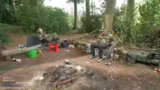 Diskussion über Wildcampen, C…