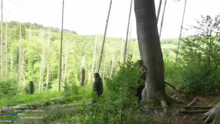 2 TAGE WALD SURVIVAL MIT @ZARBEX UND @O…