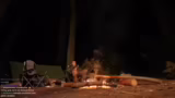 Diskussionen über Feuer, Wild…