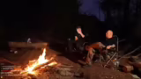 Umgang mit Wildschweinen und…