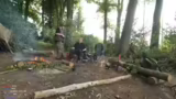 Bogenbau-Challenge und Baum-D…