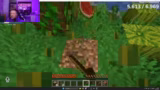 Erste Schritte in Minecraft:…