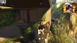 Grand Theft Auto V