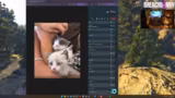 Just Chatting
