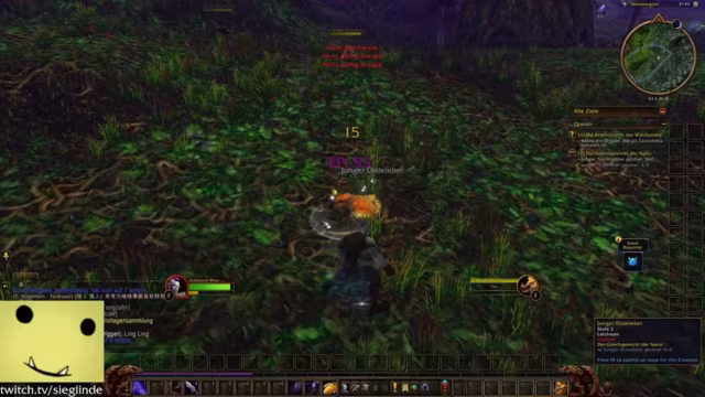 Beta-Erkundung von WoW Forever mit neuen Einstellungen