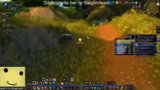 World of Warcraft