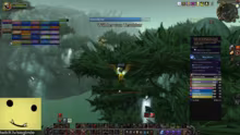 (DROPS) LANGER WOW TAG Raidmorgen+abend…