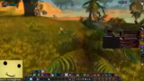 World of Warcraft