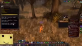World of Warcraft