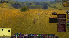 TBC RAIDS HC Druiden Gilde SoD Projekt…