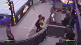 WWE 2K25