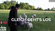 Ich nenne es die Schweizer Gamescom Her…
