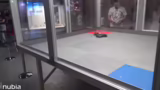 Battlebots-Inspiration und St…