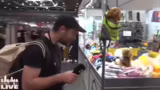 Innovative Lösungen für Tierh…