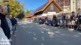 Almabtrieb: Rinderherden ziehen durch das Dorf