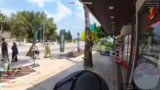 Überlegungen zu Kokosnüssen,…