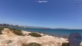 Tierwelt in der Türkei und Mu…