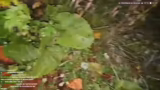 Hinweise zum Schutz der Natur…