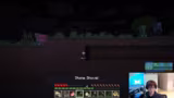 Minecraft in 2D durchspielen