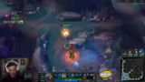 Autofill Jungle und Nautilus-…
