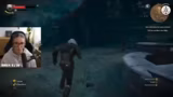 The Witcher 3: Wild Hunt