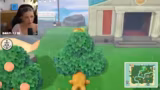 Animal Crossing: New Horizons
