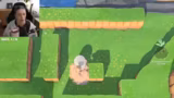 Animal Crossing: New Horizons