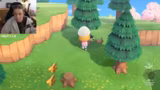 Animal Crossing: New Horizons