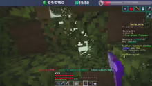 Hypixel Skyblock Abend! -> Mangrovenhol…