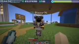 Pet-System und Combat-System
