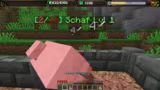 COMMUNITY SERVER START !buch !kofi @spa…