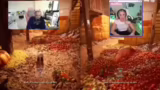 Actionreiches Gameplay und hu…