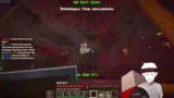 Gemeinsamer Spawn und Reise d…