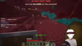 Chunk-Neuladen und Enderman-J…