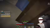 XP-Farm, Sandabbau und Verzau…