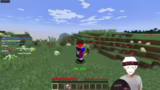 Stegis missglückte Nether-Rei…