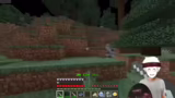 Minecraft Mod-Vorstellung und…