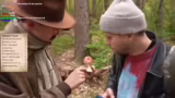 Goldröhrling, Nacktschnecken…